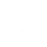 Crear Web WordPress