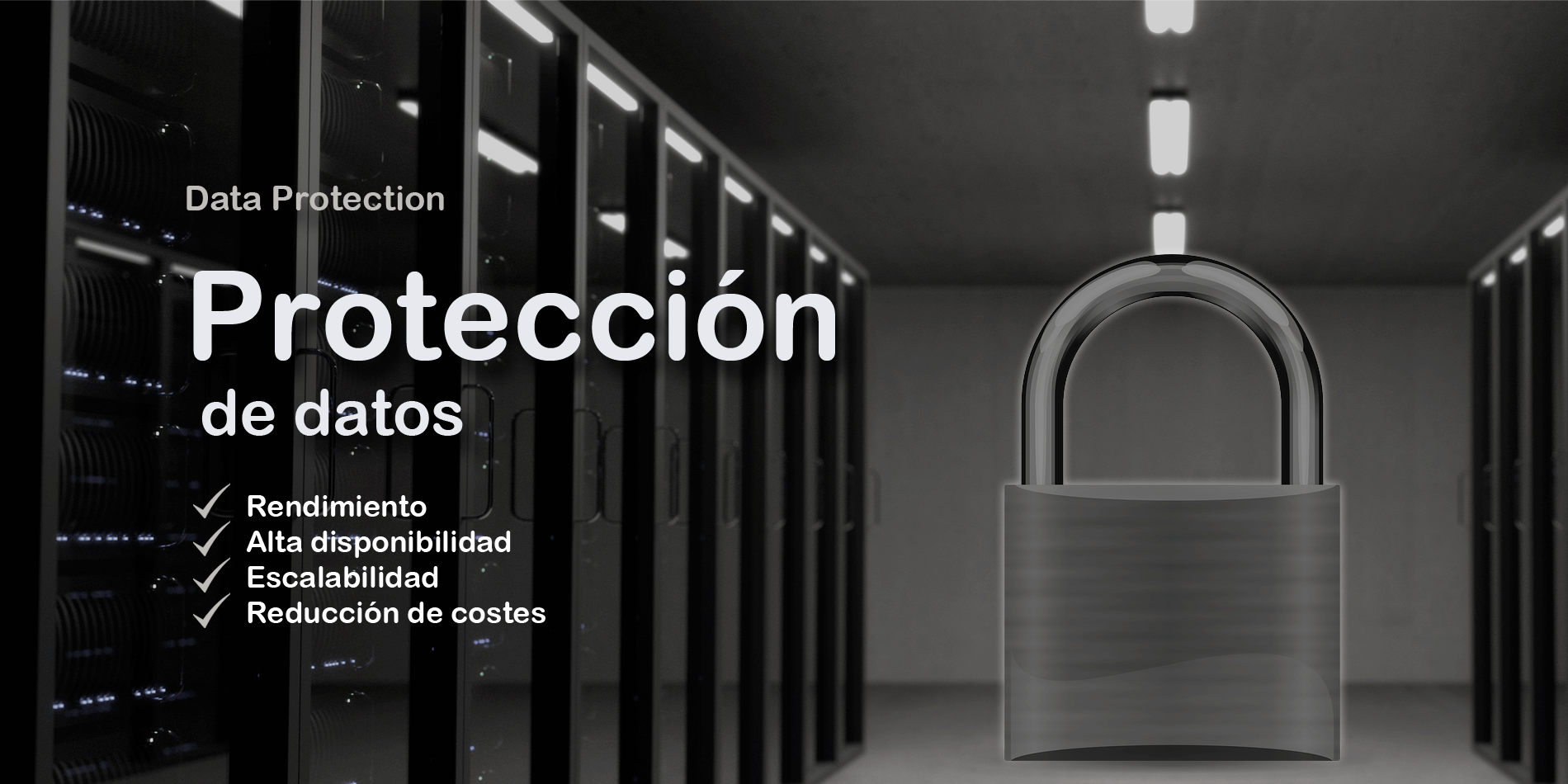 Proteccion de datos: Soluciones dataprotection