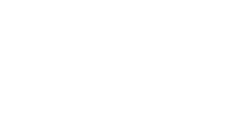 Dell Platinum Partner